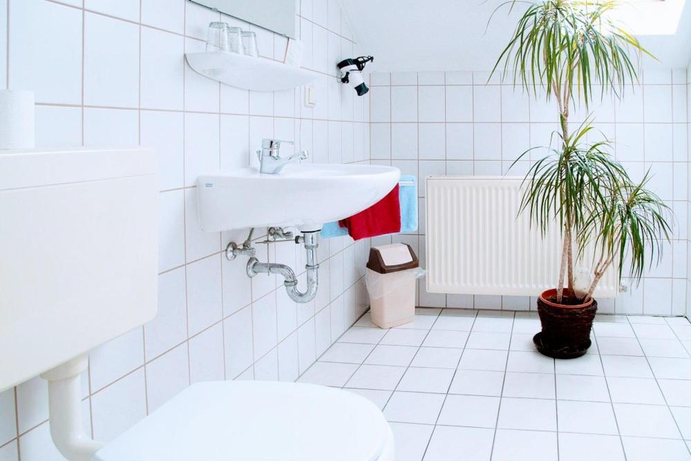 Landgasthof "Zur Linde" Dreba Extérieur photo